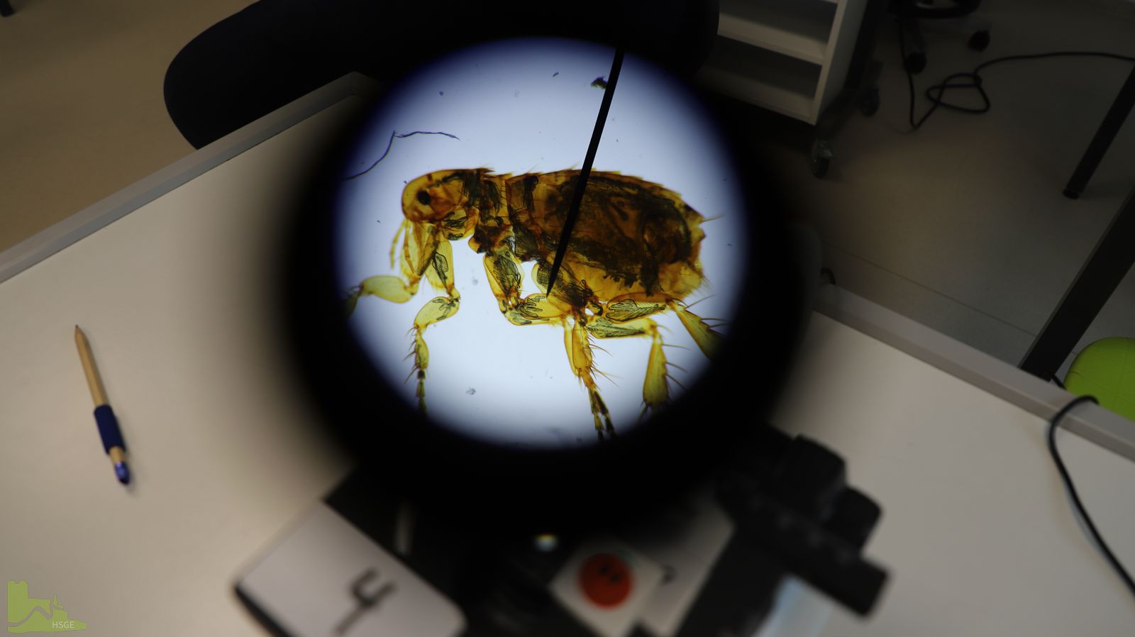 Großer Andrang beim Tag der offenen Tür an der Hardenstein-Gesamtschule